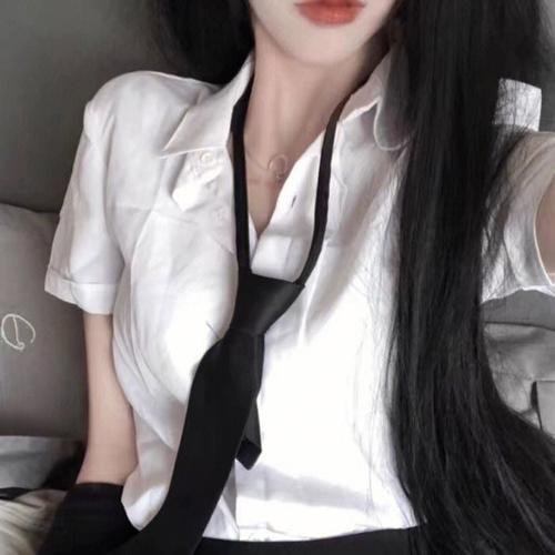 小老鼠历险记